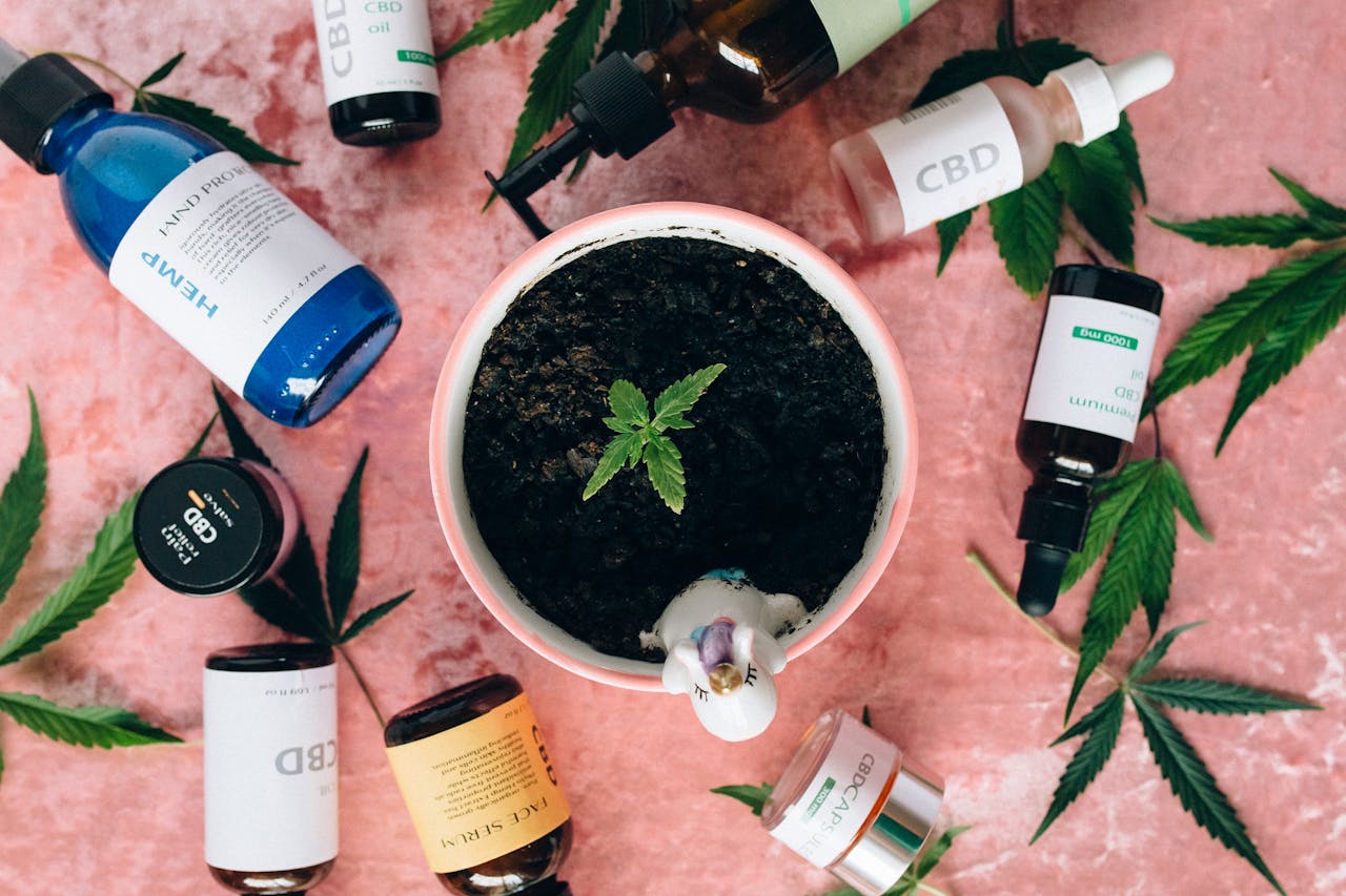 Flatlay of CBD products and cannabis plant, ideal for wellness and lifestyle themes.